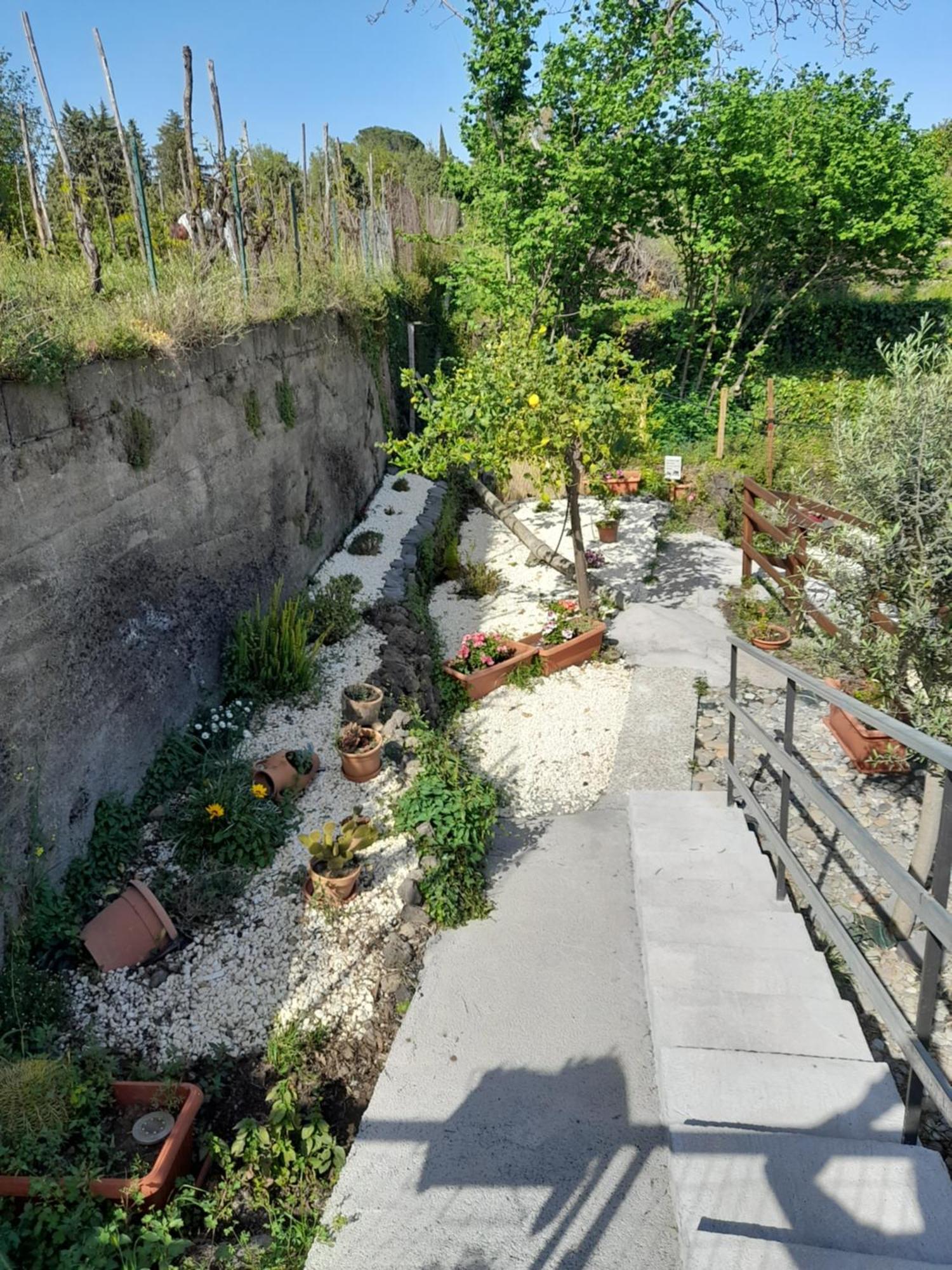 Sikelia Etna House Villa Zafferana Etnea Eksteriør bilde